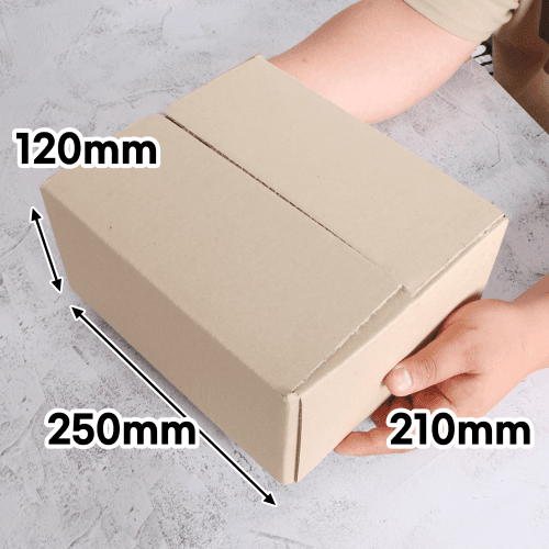 A형박스 100개 250x210x120mm [AN03]