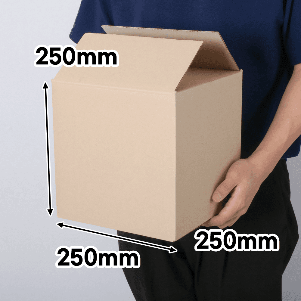 A형박스 60개 250x250x250mm [AN62]