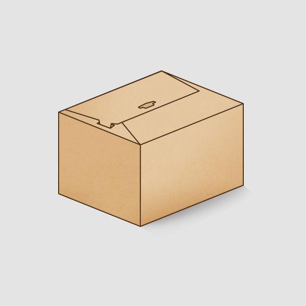 [CARET-60] 1BOX 60개 170x135x125